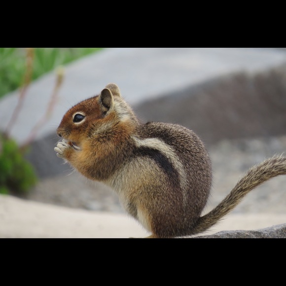 Meet your Posher, Jacquelyn - Picture 1 of 1